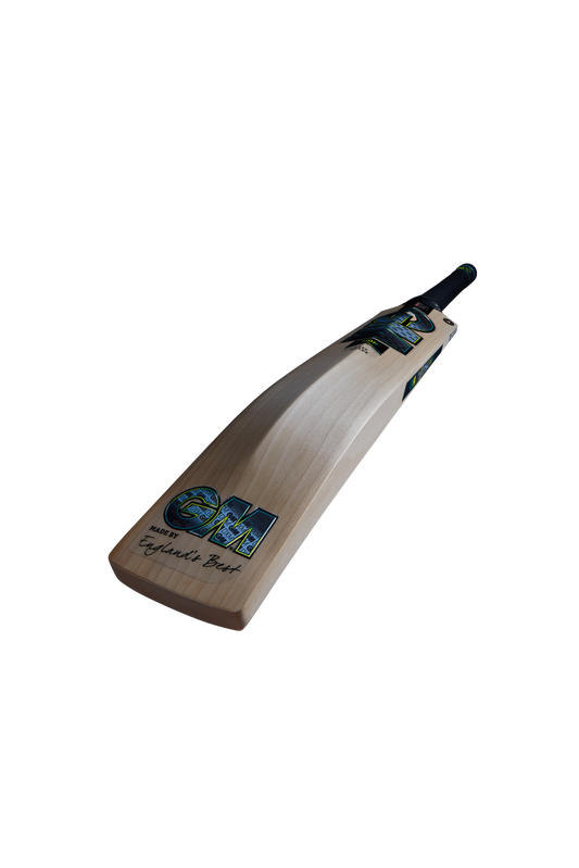 GM Aion 606 Cricket Bat