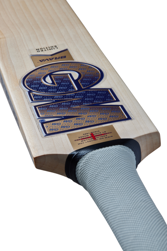GM Brava 909 Cricket Bat