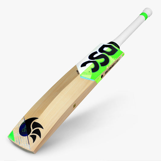 DSC Spliit 6000 English Willow Bat