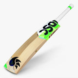 DSC Spliit 6000 English Willow Bat