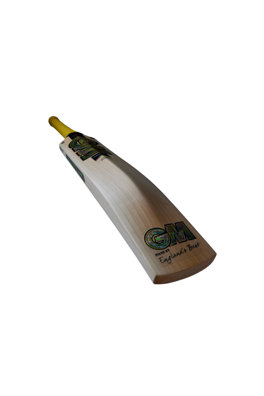 GM Psyche 404 Cricket Bat