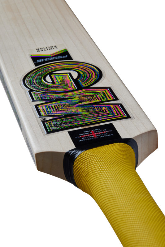 GM Psyche 606 Cricket Bat