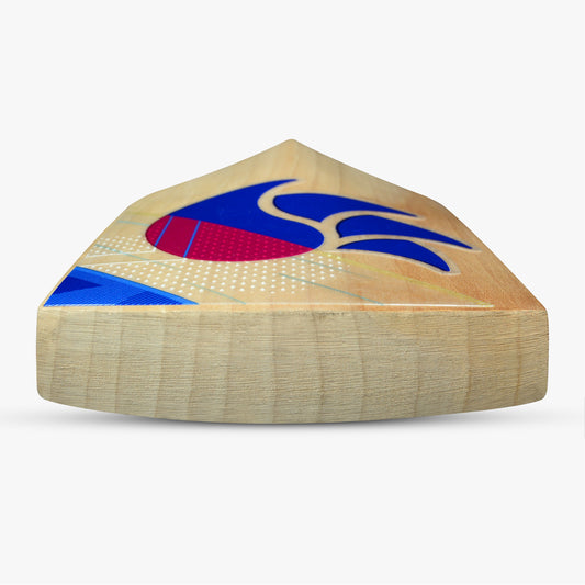 DSC Intense 5000 English Willow Bat