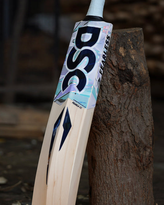 DSC Cricket Bat Range Guide (2026)