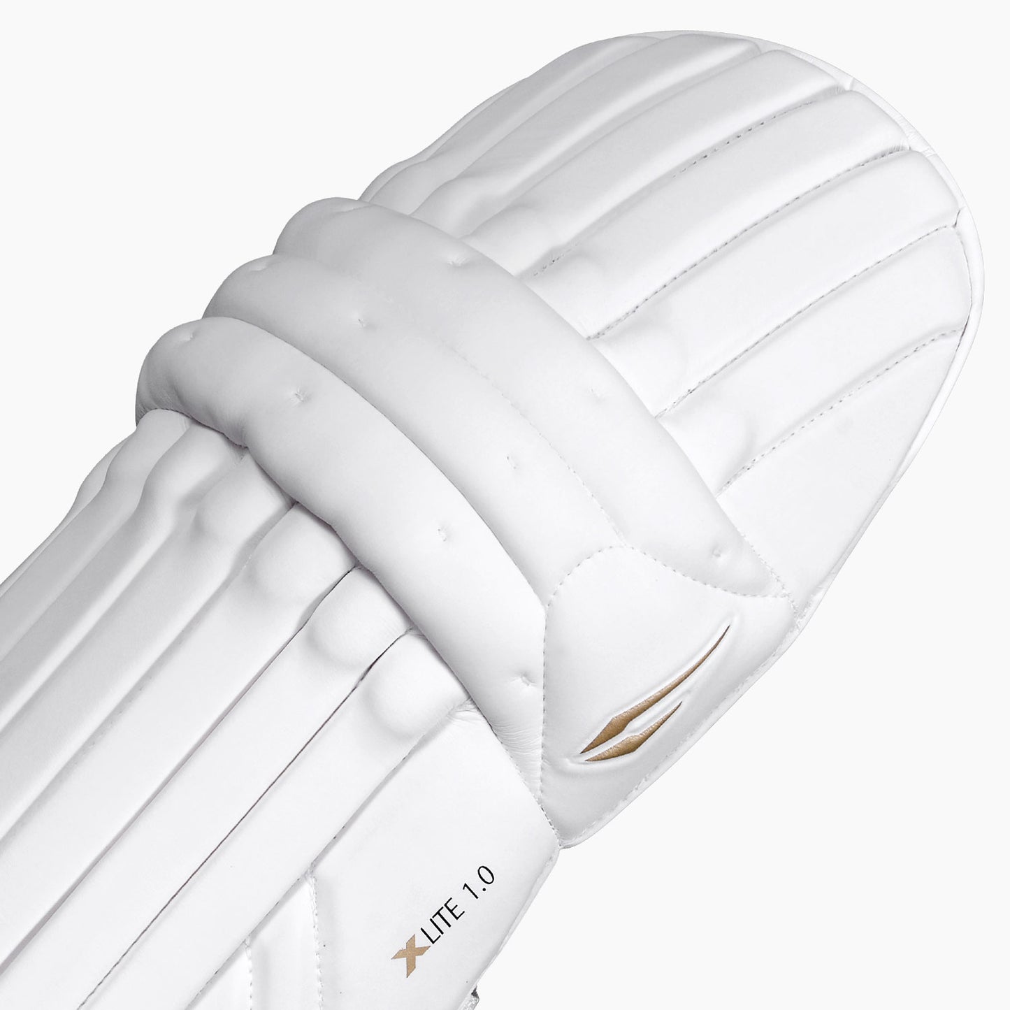 DSC Xlite 1.0 Batting Legguard
