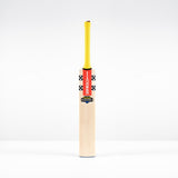 Gray-Nicolls Havoc HB317 Test Vlite Adult Cricket Bat