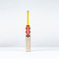 Gray-Nicolls Havoc HB317 GN330+ Junior Cricket Bat