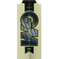 GM AION Cricket Bat