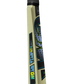 GM AION Cricket Bat