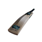 GM Aion 606 Cricket Bat