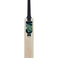 GM Aion 606 Cricket Bat