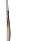 GM Brava Signature Cricket Bat