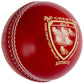 Gray Nicolls Crest Elite Cricket Ball