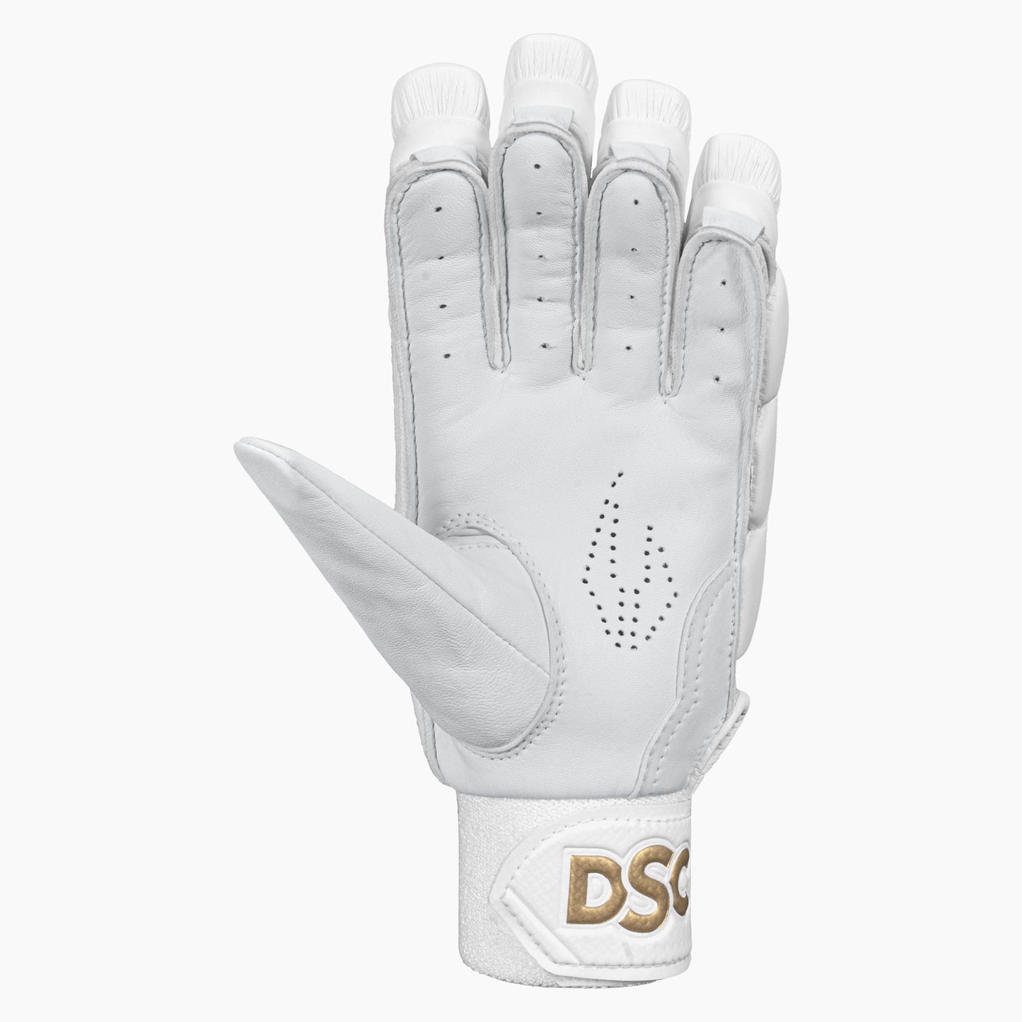 DSC Xlite 1.0 Batting Gloves