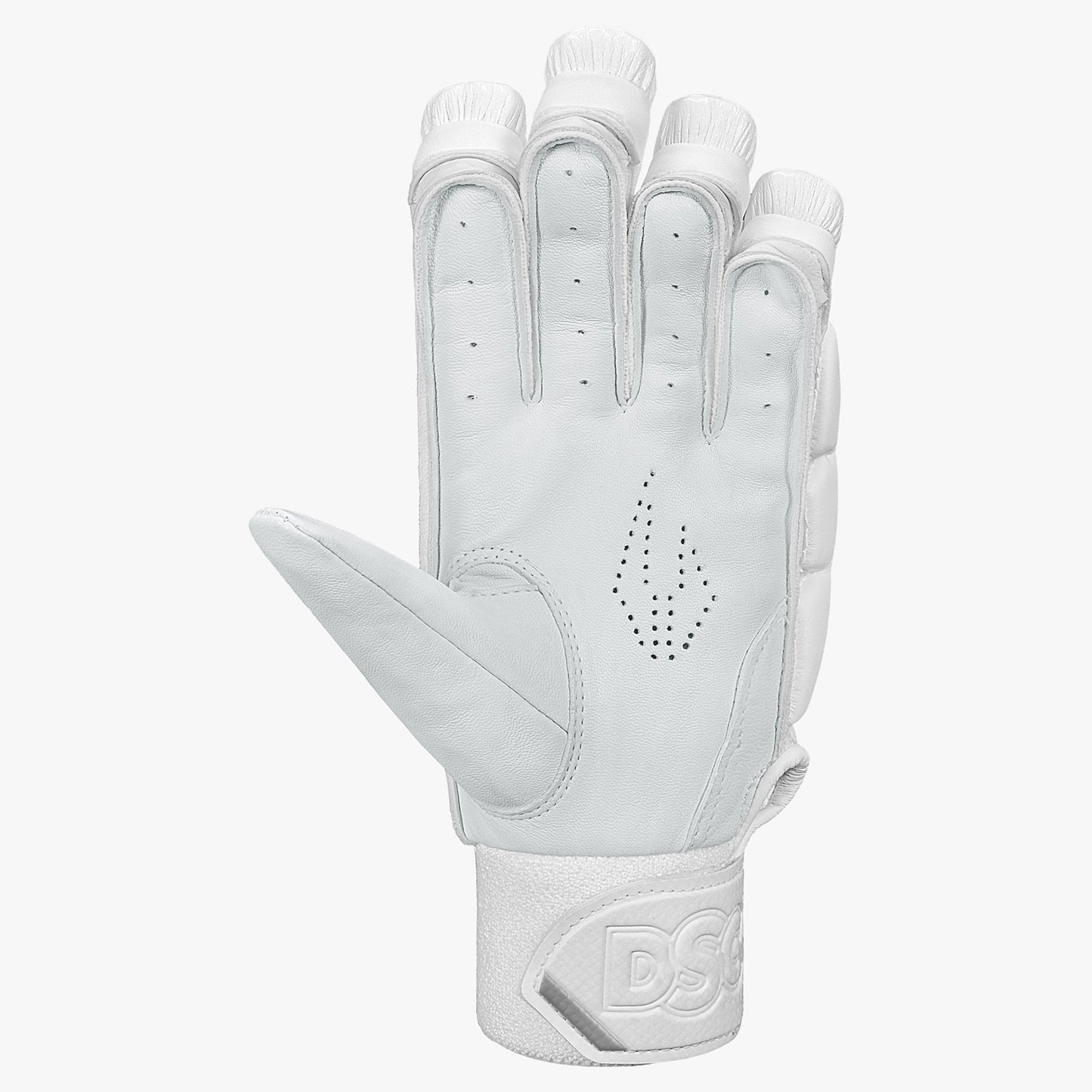 DSC Xlite L.E Cricket Batting Gloves