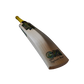 GM Psyche 404 Delta Cricket Bat