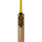 GM Psyche 404 Delta Cricket Bat