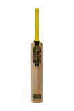 GM Psyche 404 Delta Cricket Bat