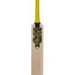 GM Psyche 404 Cricket Bat