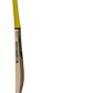 GM Psyche 404 Cricket Bat