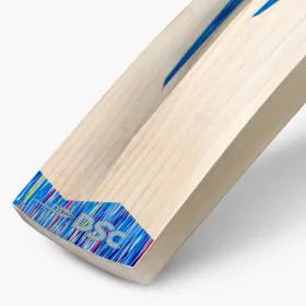 DSC Blu 6000 English Willow Junior Cricket Bat